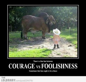 courage-vs-foolishness-24476